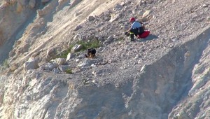 VIDEO: Psy mladej rodiny spadli do kameňolomu. Život im zachránili hasiči