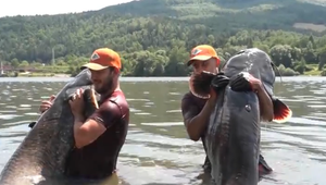 Z vôd Ružína sa rybárom podarilo vytiahnuť dva rekordné úlovky