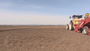 Slovenskí farmári čelia výzve: Eurofondy musia vyčerpať, inak hrozí ich prepad