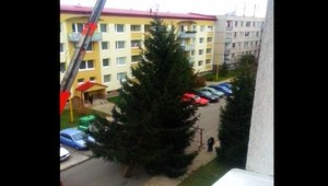 VIDEO. Pat a Mat! Takto sa v Česku prevážajú vianočné stromčeky...