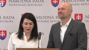 Tlačová beseda: Politická budúcnosť Cigánikovej a Sulíka