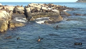 Svet 24 o raji tuleňov, ale aj o výlete do komunizmu