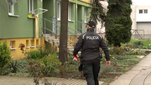 6-ročné dievčatko obeťou sexuálneho zneužívania: Násilníkom má byť jeho vlastný brat