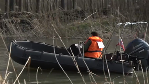 VIDEO: Na Dunaji simulujú záplavu. Má to pomôcť miestnej flóre a faune