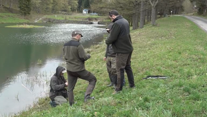 Pstruhová sezóna odštartovala, rybárov hneď v prvý deň kontrolovali