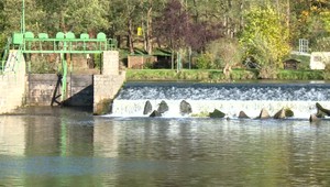 Slovák udieral Slováka päsťami až spadol a zomrel. Polícia v Čechách už začala trestné stíhanie