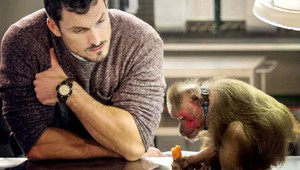 Opica Džudy zo seriálu ZOO kedysi veľa pila a fajčila, teraz užíva dôchodok