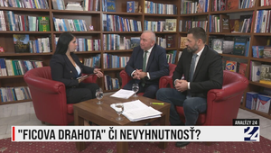 Analýzy 24: Nevyhnutnosť alebo "Ficova drahota"?