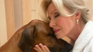 Kollárova exmilenka v slzách! Veterina stratila herečkinho psa, potvrdilo sa to najhoršie!