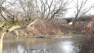 Lebku malého chlapca našli na druhej strane diaľnice. Jeho telo sa zrejme už nikdy nenájde