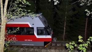 Tatranská električka zrazila medveďa, ktorý zrejme naháňal medvedicu. Stretu s vlakom sa už nevyhol