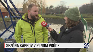 Rozhovory 24: Sezóna kaprov je v plnom prúde