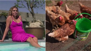 Klaudia v Bez servítky ukáže svoju luxusnú haciendu, no aha: Vedľa bazéna chová sliepky!