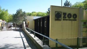 Zoologické záhrady postupne otvárajú svoje brány po uvoľnení opatrení
