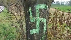 Nechutný žart: Na cestu namaľoval 500 hákových krížov