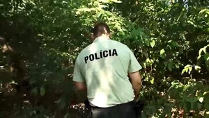 Išiel na prechádzku do lesa, už sa z nej nevrátil: Mladíka našli mŕtveho