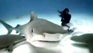 VIDEO. Ľudská morská panna tancuje so žralokmi