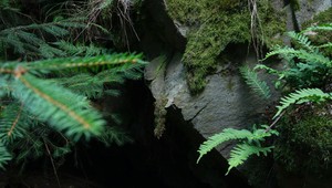 Vedci otvorili milión rokov starú jaskyňu v Mexiku: Ani vo sne im nenapadlo, čo nájdu