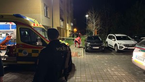 Vyhodil ju z balkóna ako vrece zemiakov! Hovorí sused, ktorý chcel žene pomôcť a skončil s dorezanou tvárou