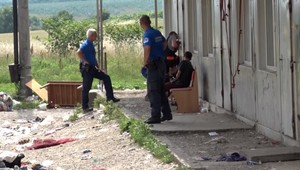 Mimoriadna situácia pri Nitre. Ploštice sa nachádzali v každom treťom byte