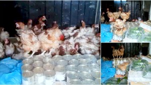 Kontrola na hraniciach. Aj toto jeme a pijeme!