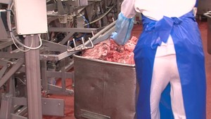 Na tanieroch ubúda domáce bravčové. Čo ho ohrozuje?