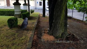 Počas búrky v Nitre muža zabil blesk