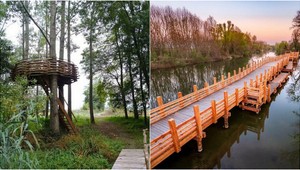 Kam na výlet v okolí Bratislavy? Tieto krásne prírodné miesta sa oplatí vidieť