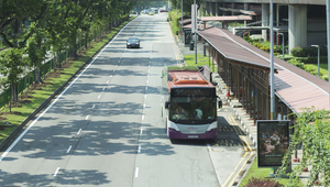 Zeleň v pohybe: Autobusy so záhradami na streche