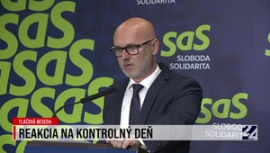 Tlačová beseda strany SaS v reakcii na premiéra na ministerstve kultúry