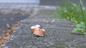 V Žiline sa opäť objavili nebezpečné nástrahy pre psov. Mladík našiel špekačky s klincami