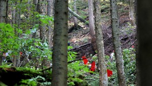 Skúsený pilot: Havarovaný vrtuľník bol veľmi obratný stroj