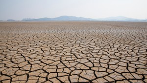 Planéta vymiera, bijú vedci na poplach: Počas posledných 250 rokov vymrelo 600 druhov rastlín