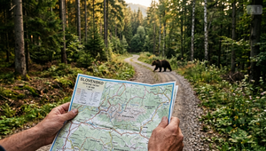 Viete, čo robiť pri stretnutí s medveďom? Nový „vodičák“ vás to naučí