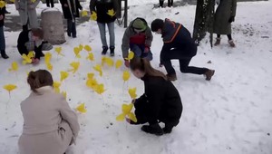 Gymnazisti vysadili 49 žltých krokusov. Symbolizujú potupné židovské hviezdy a obete holokaustu