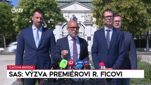 Tlačová beseda strany SaS o výzve premiérovi Ficovi