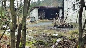 Chcel ho usvedčiť z obťažovania dieťaťa. Zato ho nechal utopiť medzi výkalmi