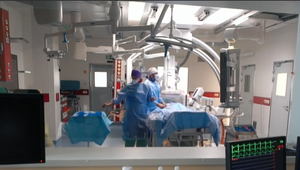 Americkí experti prišli zaučiť našich lekárov. Témou boli vrodené chyby srdca