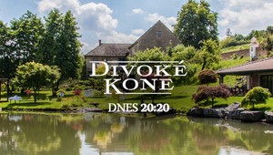 Divoké kone pricválajú na obrazovky už dnes večer!