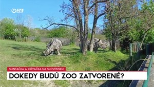 Rozhovory 24: Dokedy budú zoo zatvorené?