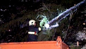 Na severe Slovenska padali stromy ako zápalky, fúkal silný vietor