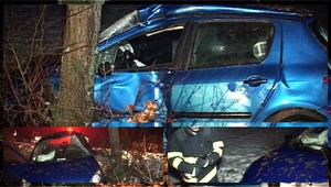 Vodička (36) dostala šmyk, autom vletela do stromu