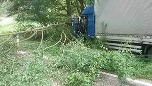 Vodič na nákladnom aute vrazil do stromu. Ten zablokoval cestu