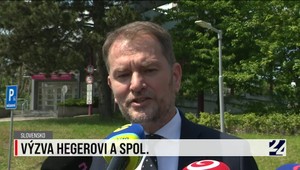 Tlačová beseda strany Oľano k spájaniu menších strán