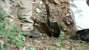 Otrasný nález na východnom Slovensku: našli telo v ilegálnom hrobe