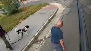 Muž vošiel do cesty autobusu. Teraz ho hľadá polícia
