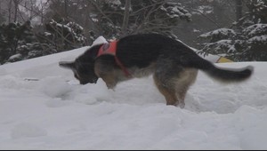 Pod Malým Kežmarským štítom zahynul horolezec