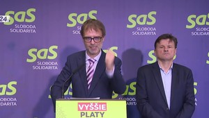 Tlačová beseda strany SaS k politickým témam