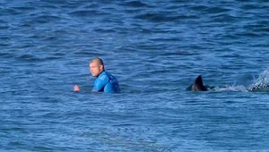 Nočná mora surfera? Nečakaný útok žraloka počas pretekov