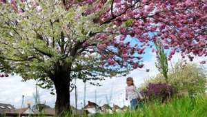 Kandráč, Bílá, Žbirka či Verešová. Všetci zrazu pridali takmer rovnakú FOTKU!